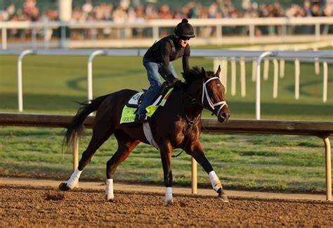 kentucky derby odds update.
